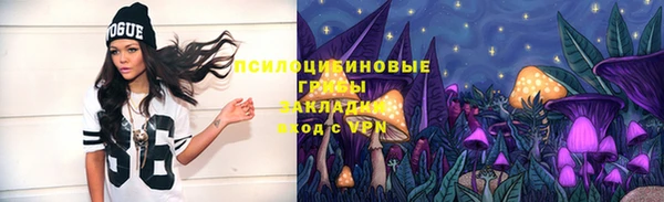 мдпв Каменск-Шахтинский