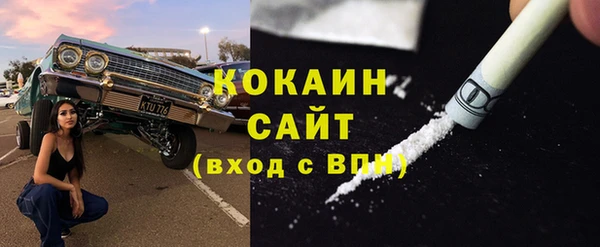 хмурый Каменка