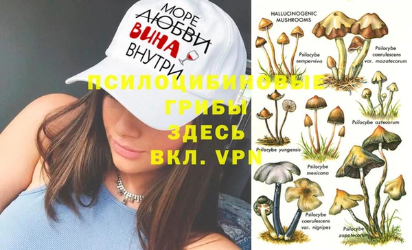 кокаин Каменногорск