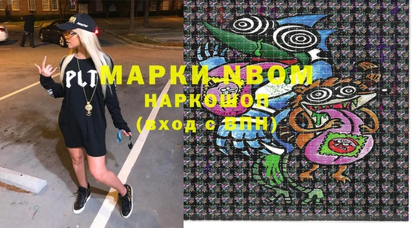 хмурый Каменка