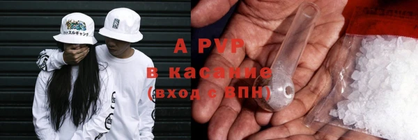 хмурый Каменка