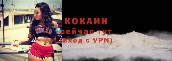 хмурый Каменка