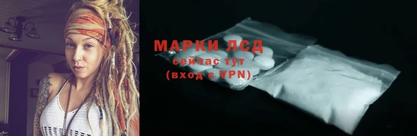 хмурый Каменка