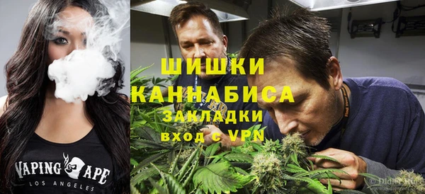 хмурый Каменка