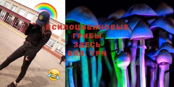 хмурый Каменка