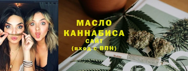 хмурый Каменка