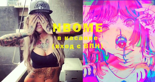 хмурый Каменка
