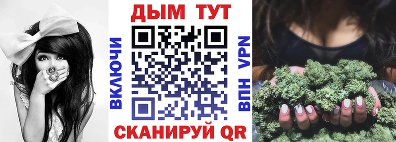 Канабис ГИДРОПОН  Купить где  Голицыно 